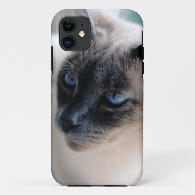Aloof Siamese Cat Funda-Mate iPhone 5 Funda (Reverso)