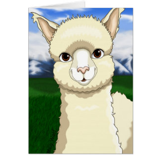 Alpaca bonita