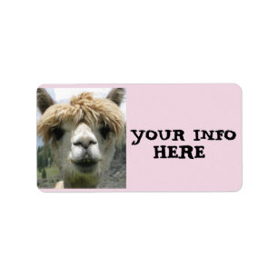 ALPACA LLAMA RETURN ETIQUETAS DE DIRECCIÓN