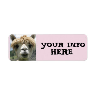 ALPACA LLAMA RETURN ETIQUETAS DE DIRECCIÓN
