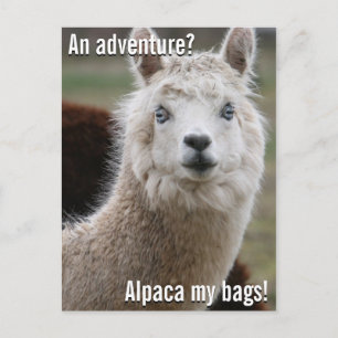 Alpaca mis bolsas para la tarjeta de aventuras