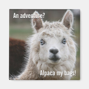 Alpaca mis bolsos para el imán de la aventura
