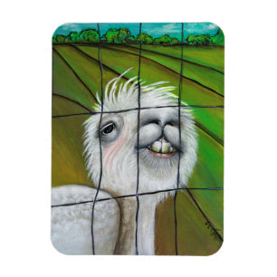 Alpaca - pequeño imán del soñador