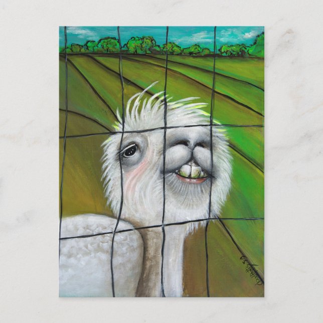 Alpaca - Postal del Pequeño Dreamer (Anverso)