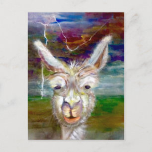 Alpaca - postal Tío Glen