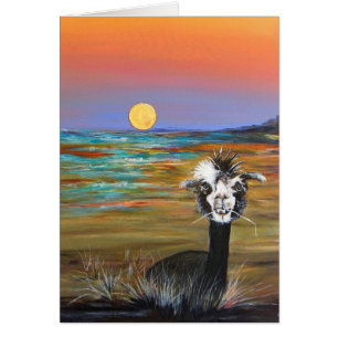 Alpaca - Vincent con tarjeta de historia