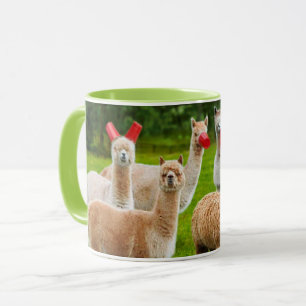 Alpacas con tazas rojas