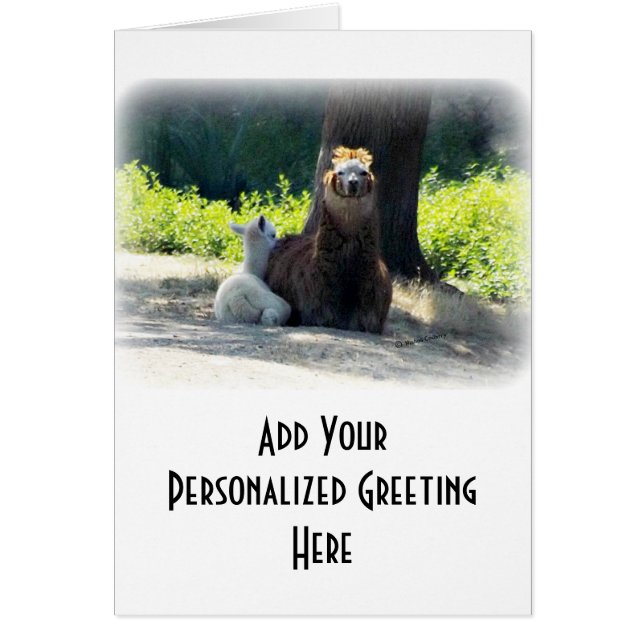 Alpacas - mamá y bebé (Frente)