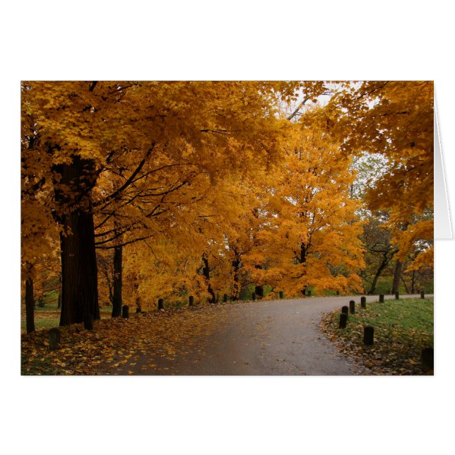 "Alrededor de la curva" (Anverso (Horizontal))