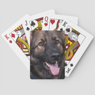 Alsatian del perro de pastor alemán de los naipes