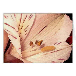 Alstroemeria en flor