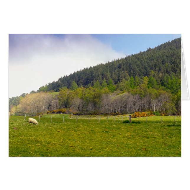 Altiplano escocés (Anverso (Horizontal))