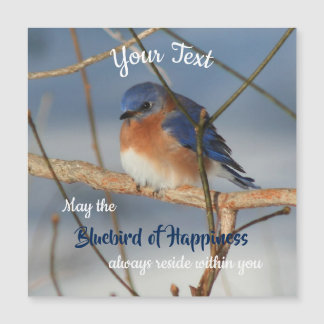 Alumnos De La Felicidad Inspirador Magnet