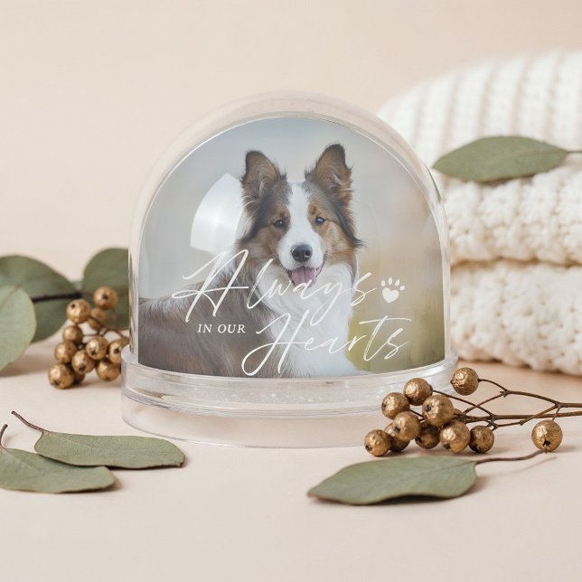 Always In Our Hearts Pet Photo Memorial Keepsake (Always In Our Hearts Pet Photo Memorial Keepsake Snow Globe (Front))