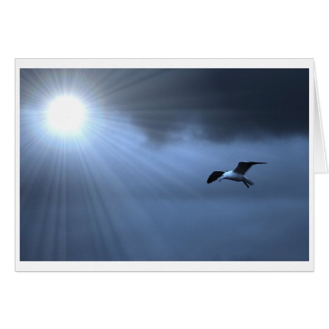 Alza (Anverso (Horizontal))