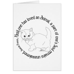 Ama a un Gato