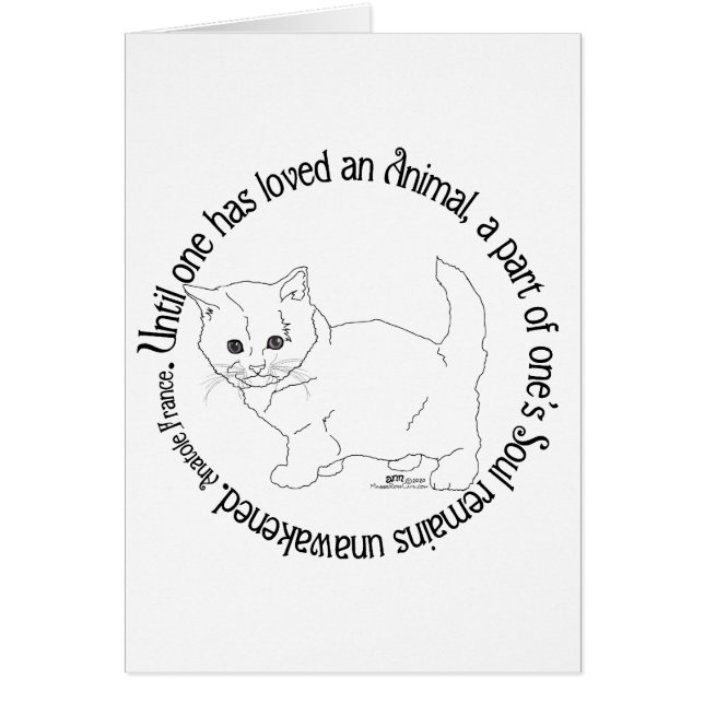 Ama a un Gato (Frente)