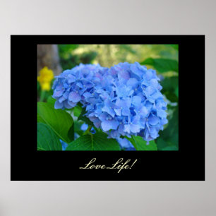 ¡Ama la vida! impresiones artísticas Hortensia flo