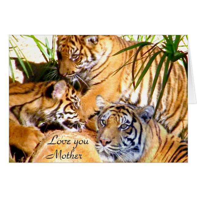 Ama, Madre. (Anverso (Horizontal))