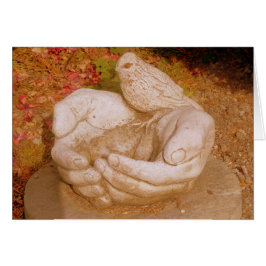 Amabilidad Para Todos