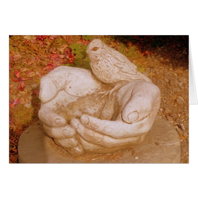 Amabilidad Para Todos (Anverso (Horizontal))