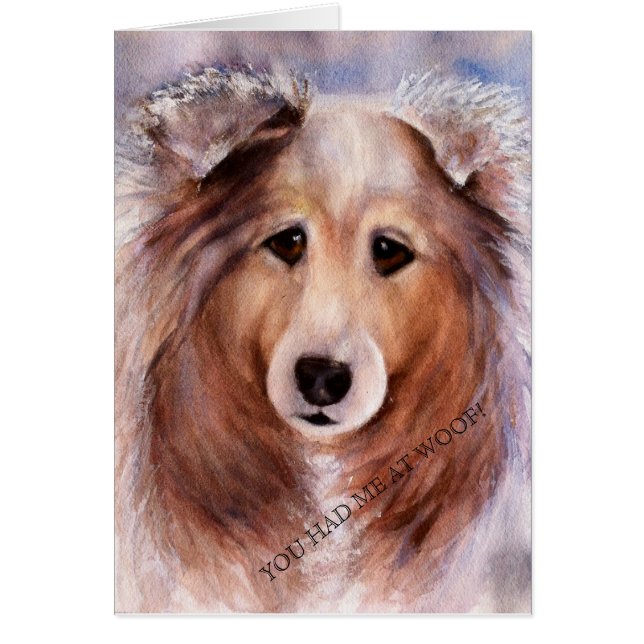 AMABLE GOLDEN COLLIE (Frente)