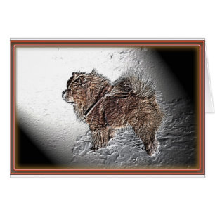 Amadeus, alivio del das