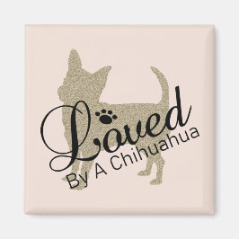 Amado Por Un Imán Chihuahua