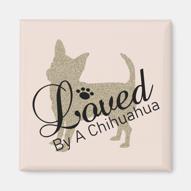 Amado Por Un Imán Chihuahua (Frente)