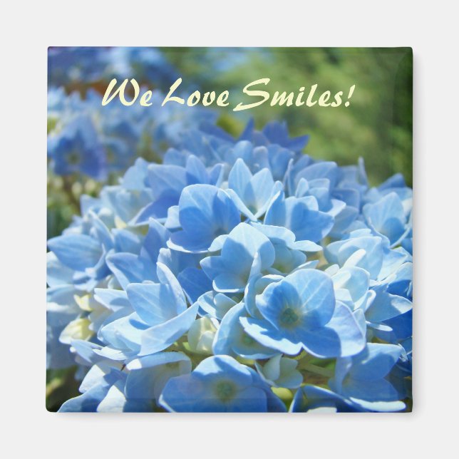 ¡Amamos las Sonrisas! imanes Flores de Hortensias  (Frente)