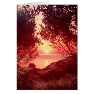 Amanecer
