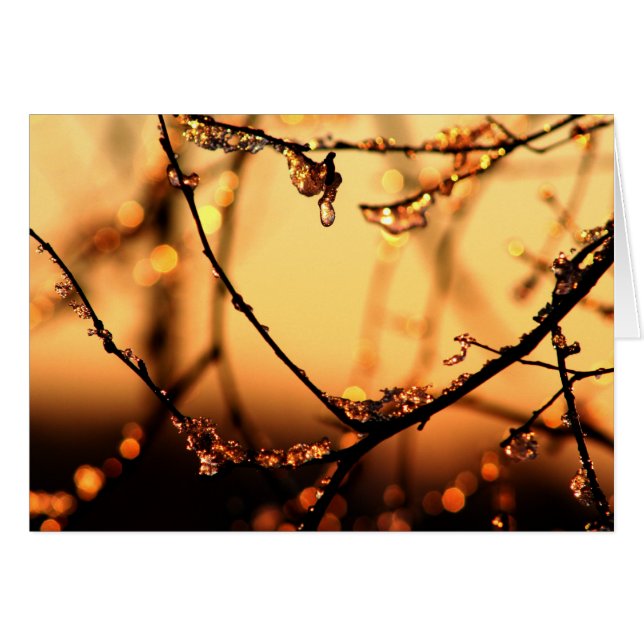 Amanecer de fusión (Anverso (Horizontal))