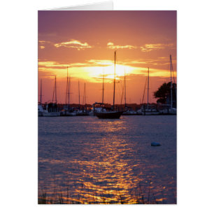 Amanecer de la pasión púrpura