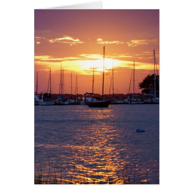 Amanecer de la pasión púrpura (Frente)