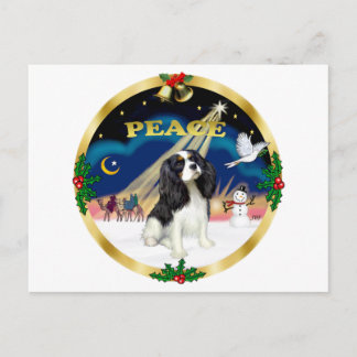 Amanecer de Navidad - Cavalier King Charles de tre