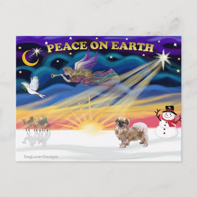 Amanecer de Navidad - Tibetan Spaniel 1 (Anverso)