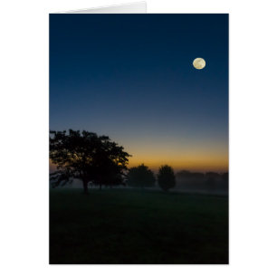 Amanecer De Verano Con Luna