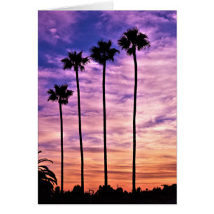 Amanecer del árbol de palmas de California