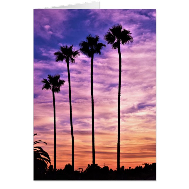 Amanecer del árbol de palmas de California (Frente)