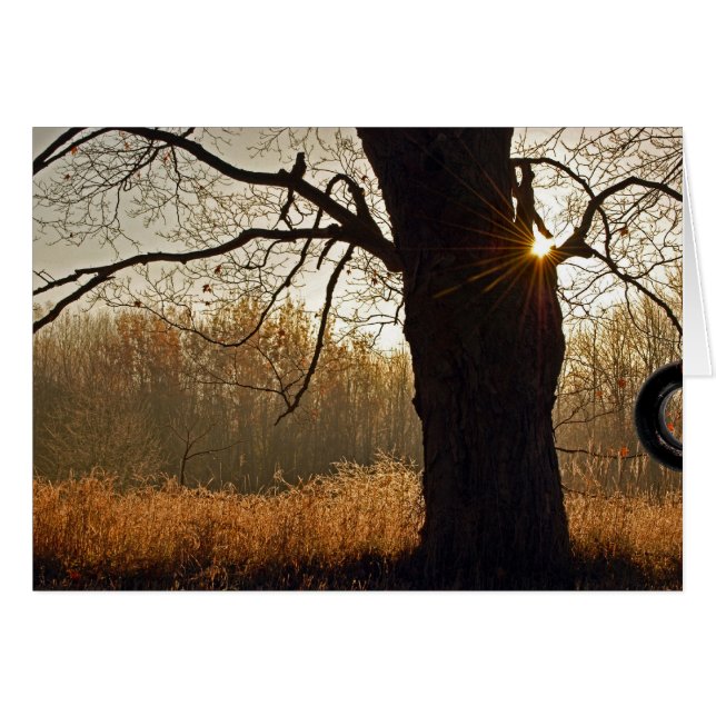 Amanecer dorado (Anverso (Horizontal))