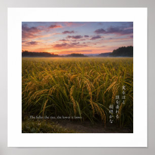 Amanecer en Arrozal Japonés – Impresión de Sabidur