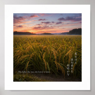Amanecer en Arrozal Japonés – Impresión de Sabidur