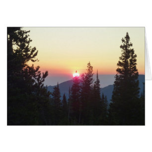 Amanecer en el bosque en la montaña Rocky