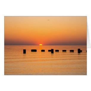 Amanecer en el lago Orange