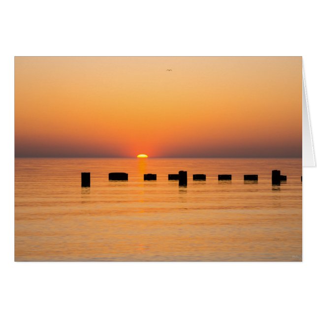 Amanecer en el lago Orange (Anverso (Horizontal))