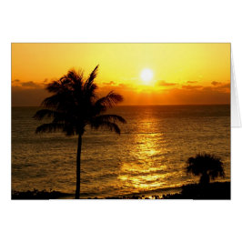 Amanecer en el paraíso