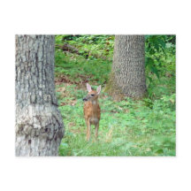 Amanecer en la postal de julio