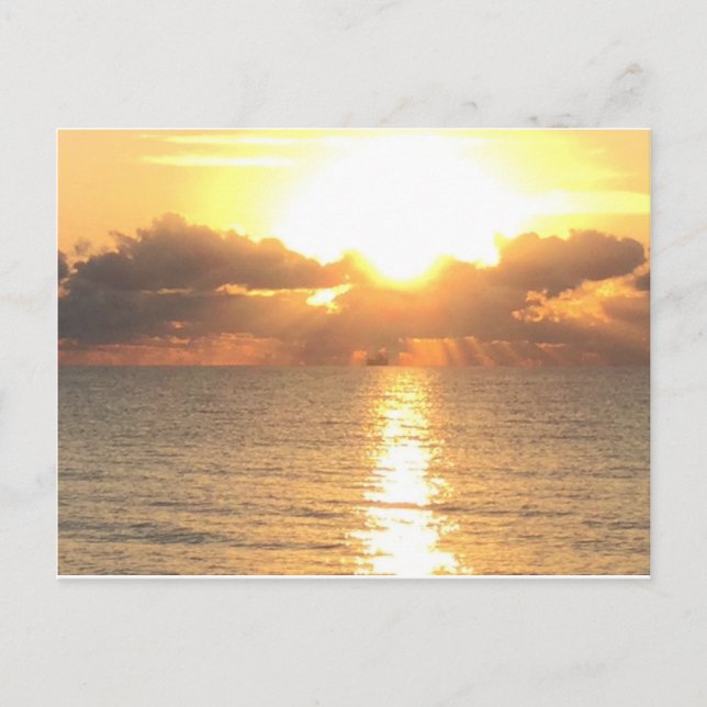 amanecer en la postal Palm Cove (Anverso)