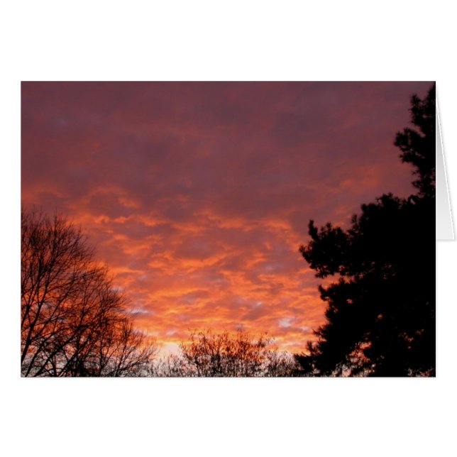Amanecer - enero de 2003 (Anverso (Horizontal))