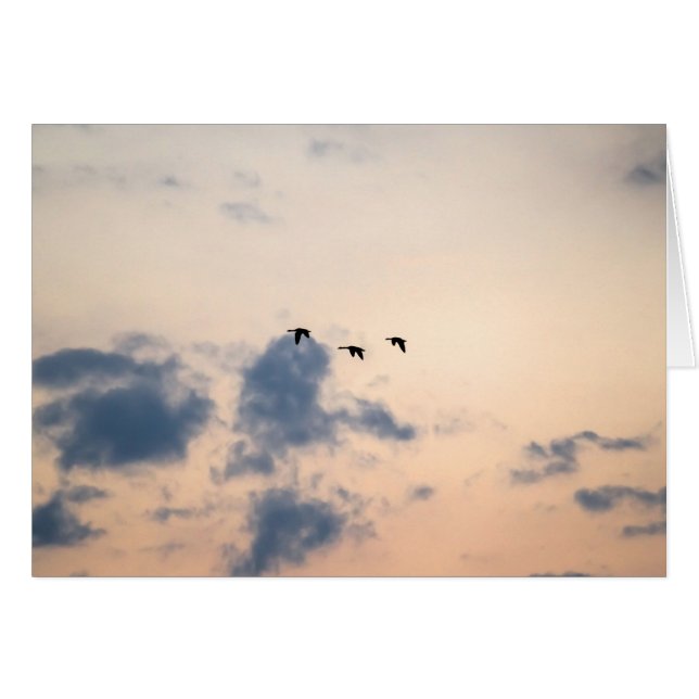 Amanecer geo y suave (Anverso (Horizontal))
